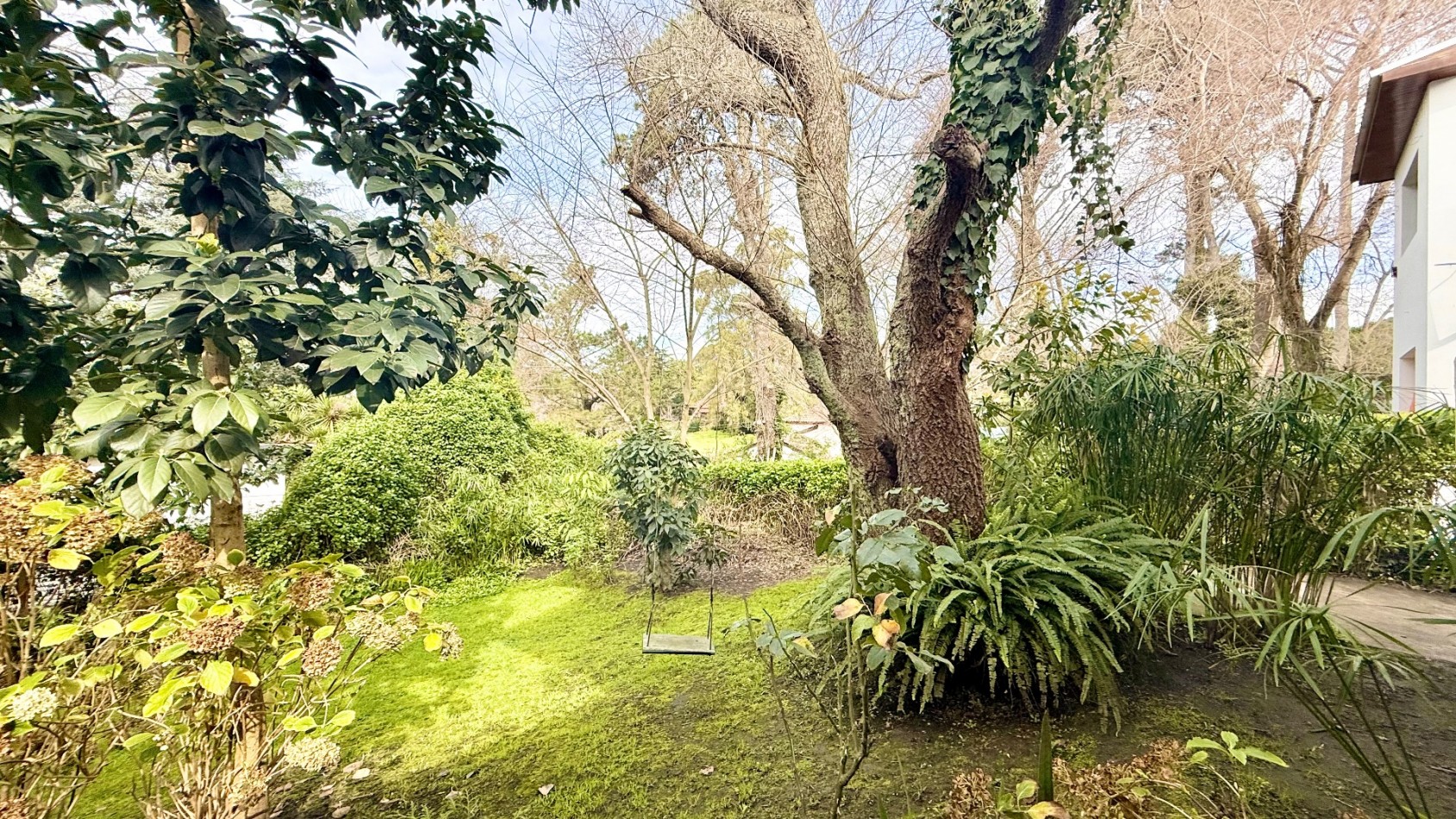 Casa tres ambientes con parque y cochera en Sierra de los padres
