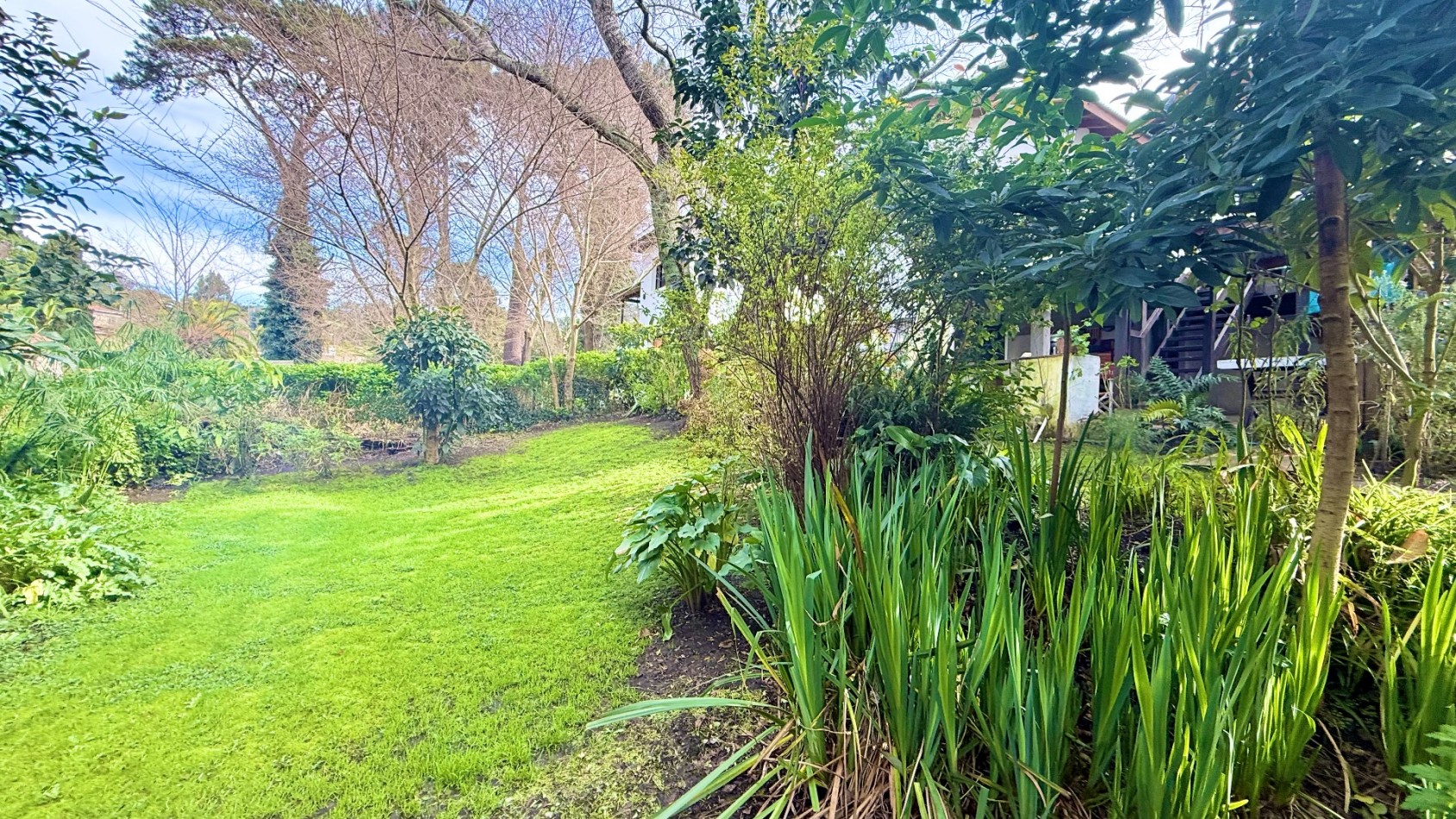 Casa tres ambientes con parque y cochera en Sierra de los padres